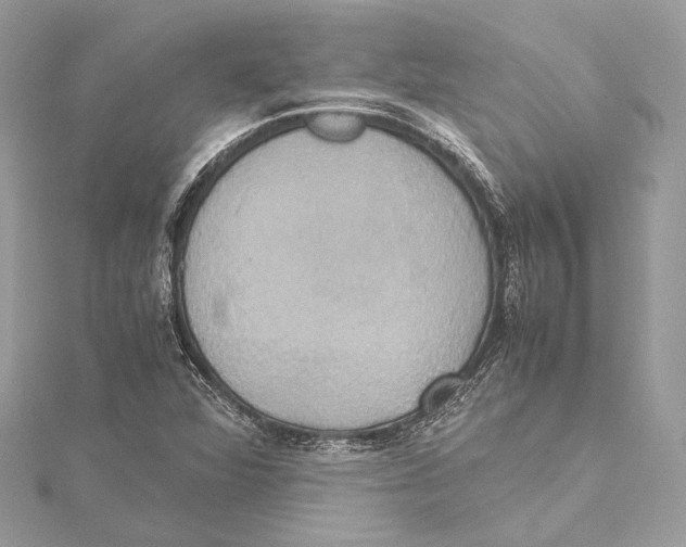 X0000115561360200912041044