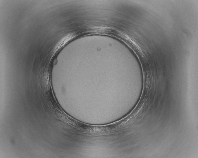 X0000115561362200912041044