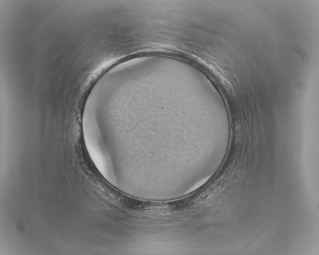 X0000115561363200912041044