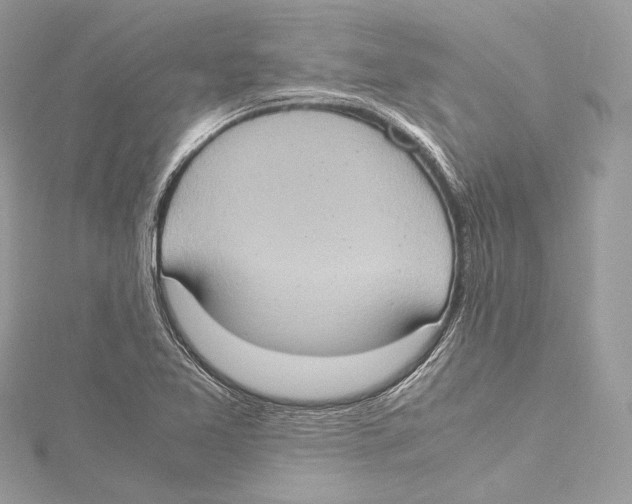 X0000115561365200912041044