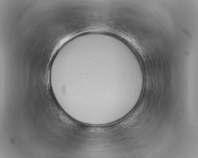 X0000115561366200912041044