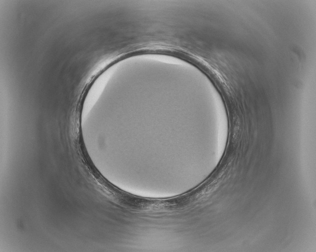 X0000115561367200912041044