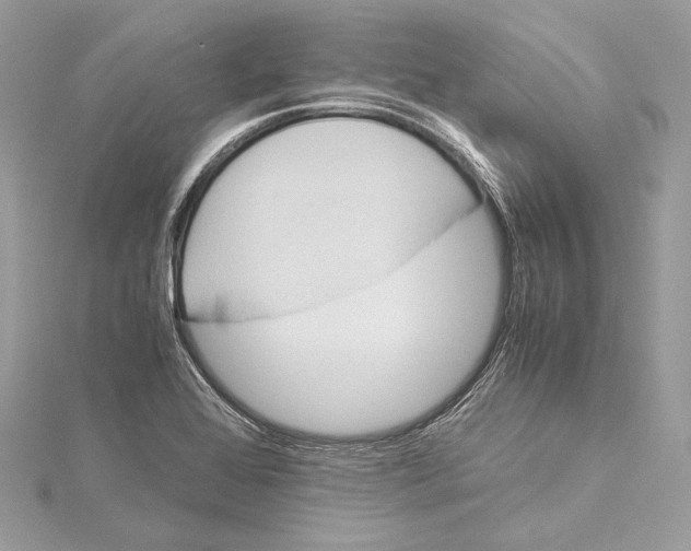 X0000115561368200912041044