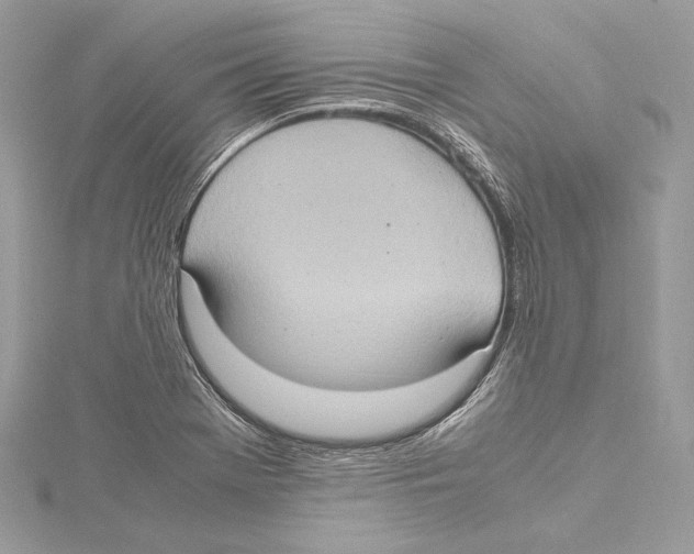 X0000115561369200912041044