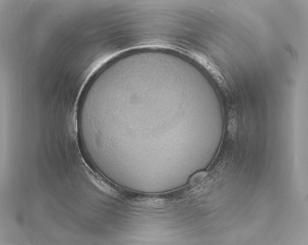 X0000115561372200912041044