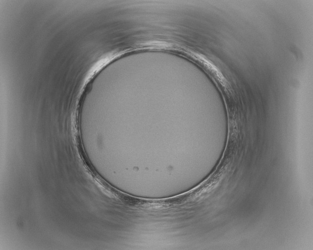 X0000115561373200912041044