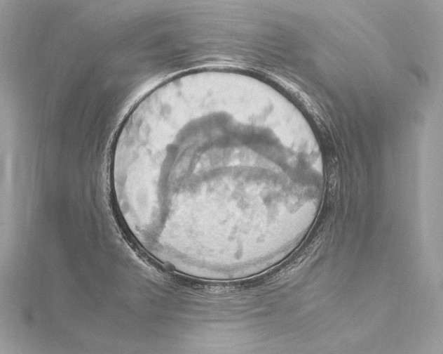 X0000115561375200912041044