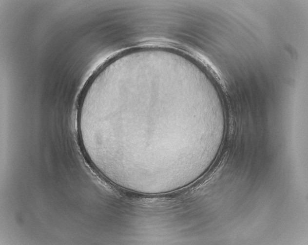 X0000115561376200912041044