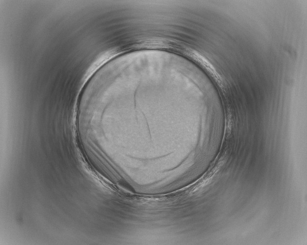 X0000115561378200912041044