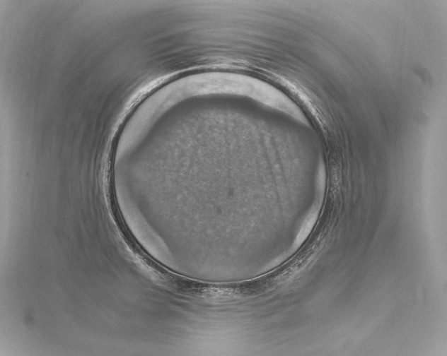 X0000115561379200912041044