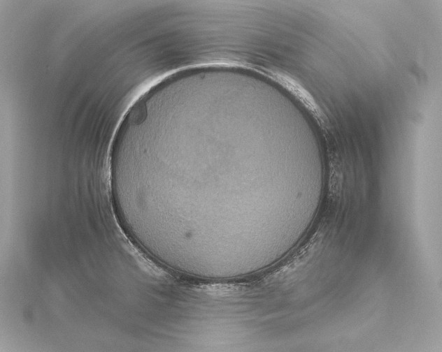 X0000115561380200912041044