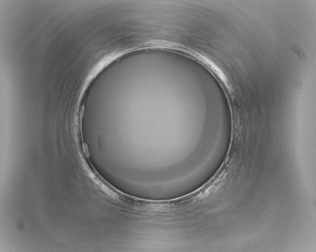 X0000115561381200912041044