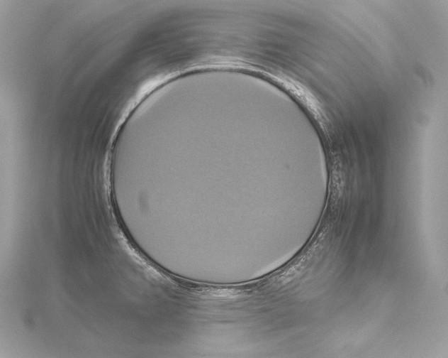 X0000115561382200912041044