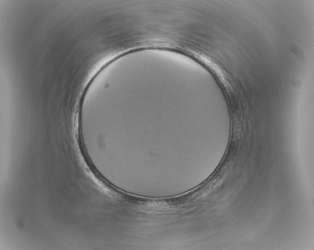 X0000115561383200912041044