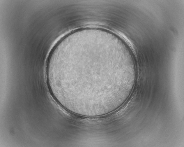 X0000115561384200912041044