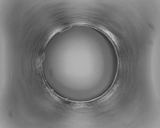 X0000115561385200912041044