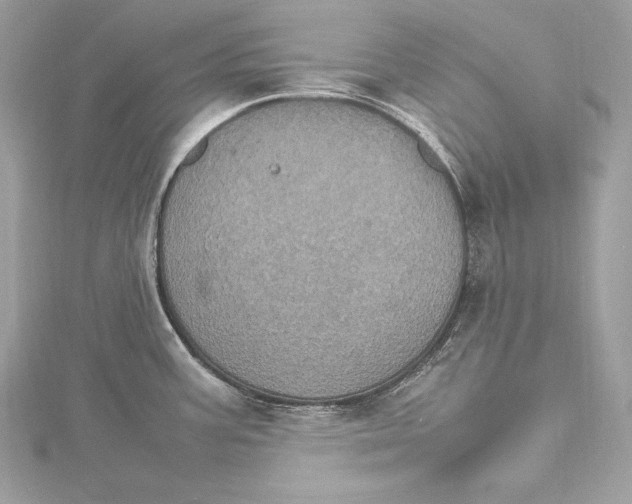 X0000115561387200912041044