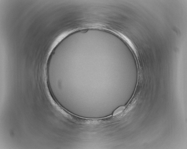 X0000115561389200912041044