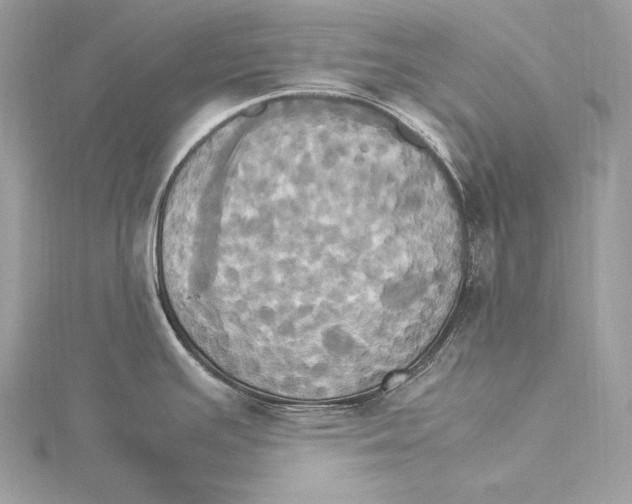 X0000115561391200912041044