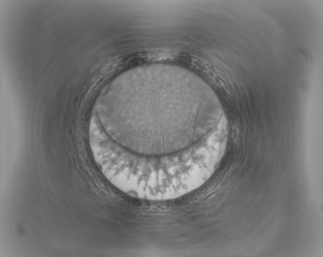 X0000115561393200912041043