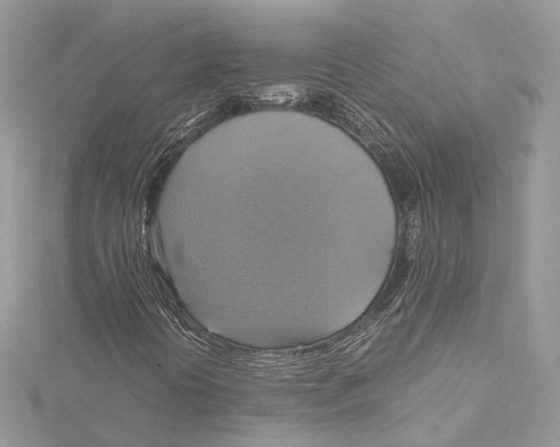 X0000115561394200912041043