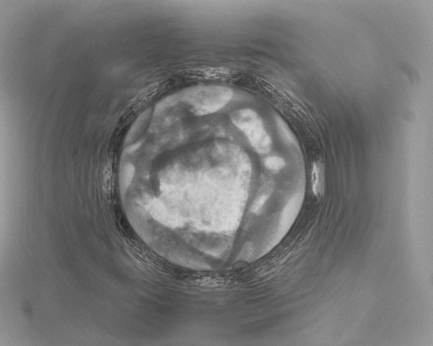 X0000115561395200912041043