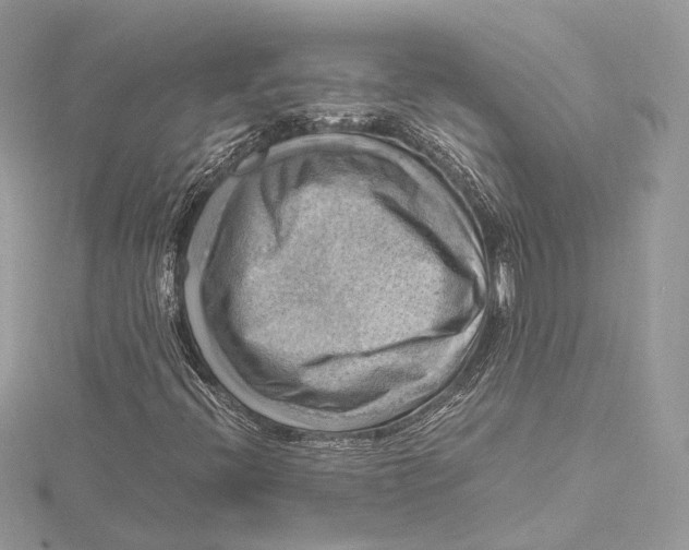 X0000115561396200912041043