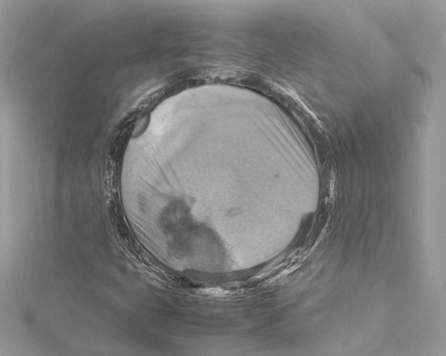 X0000115561399200912041043