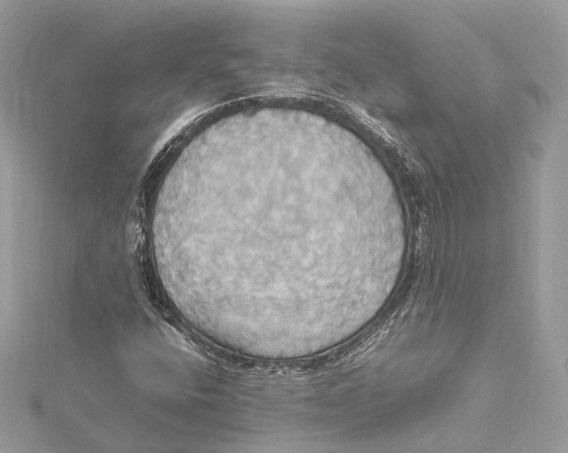 X0000115561400200912041043