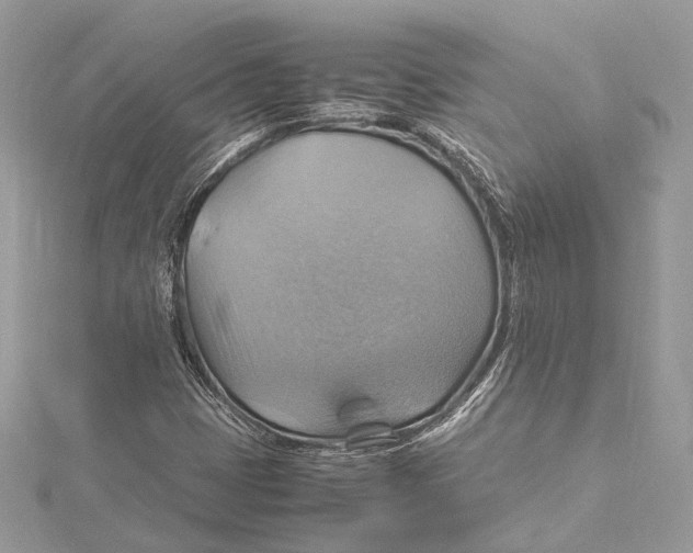 X0000115561401200912041043