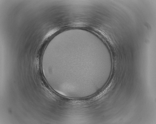 X0000115561402200912041043