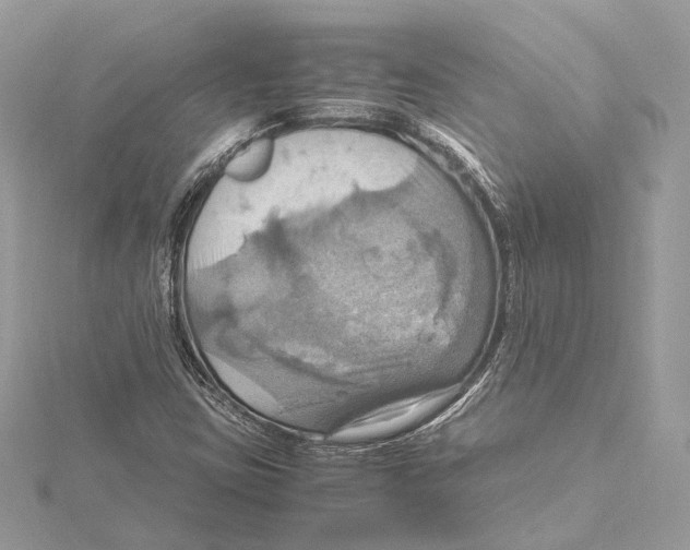 X0000115561403200912041043