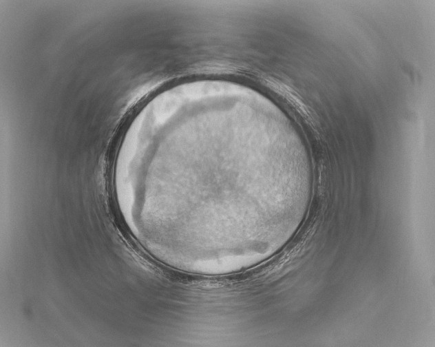 X0000115561404200912041043