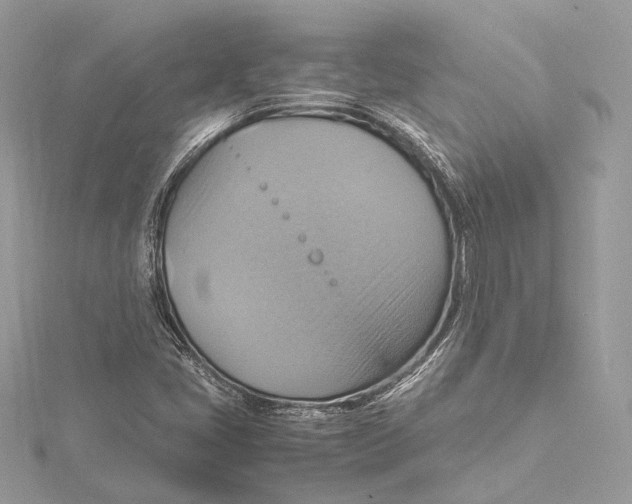 X0000115561405200912041043