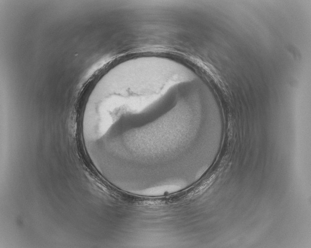 X0000115561406200912041043