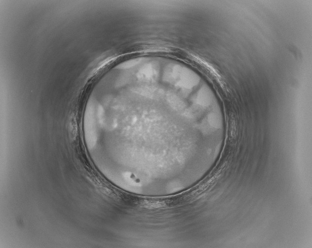 X0000115561407200912041043