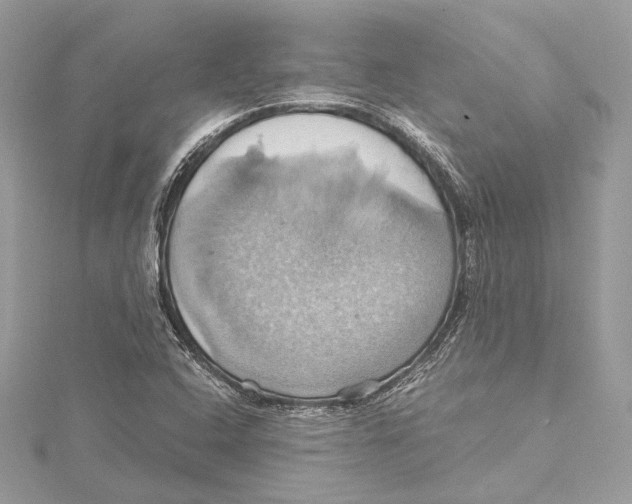 X0000115561408200912041043