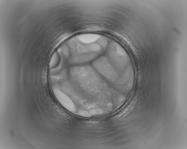 X0000115561409200912041043