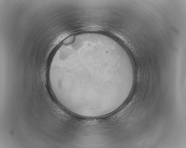 X0000115561410200912041043