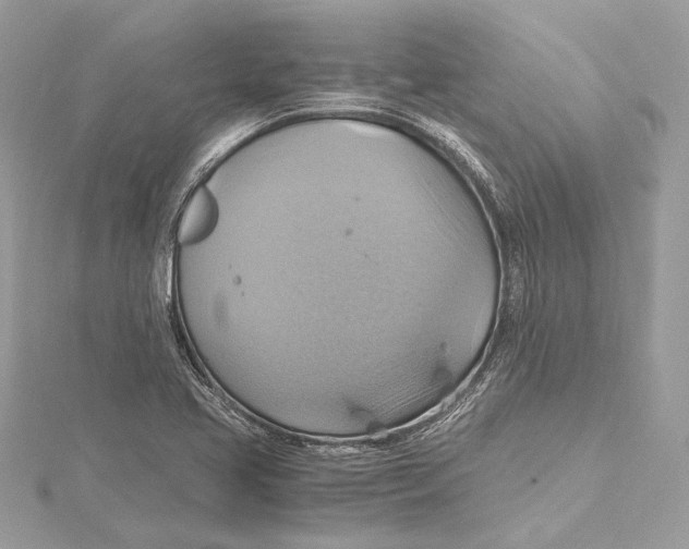 X0000115561413200912041043