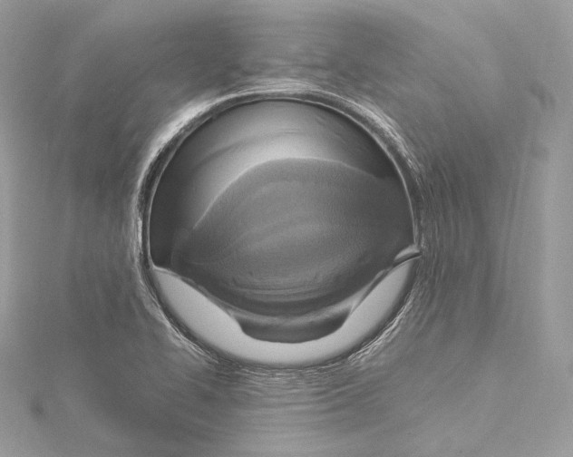 X0000115561414200912041043