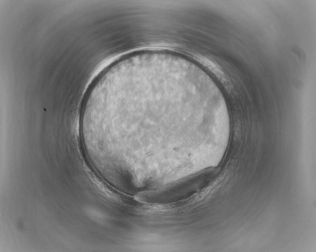 X0000115561420200912041043