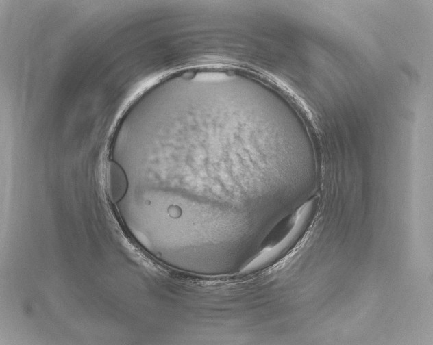 X0000115561421200912041043