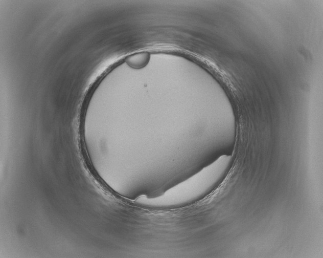 X0000115561422200912041043