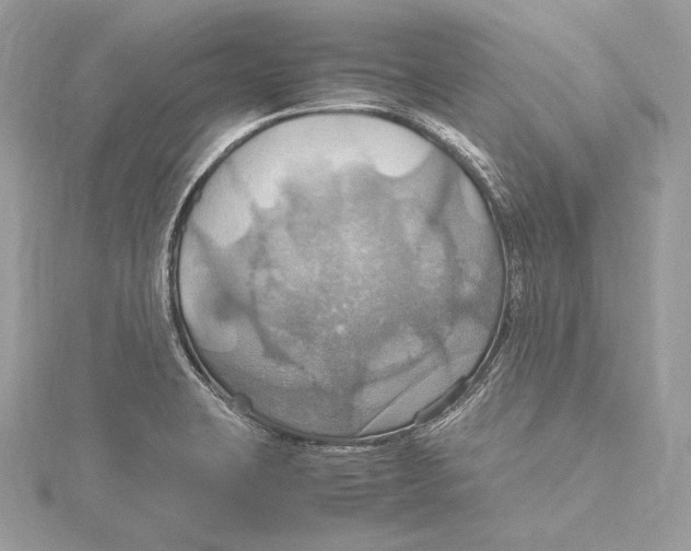 X0000115561423200912041043