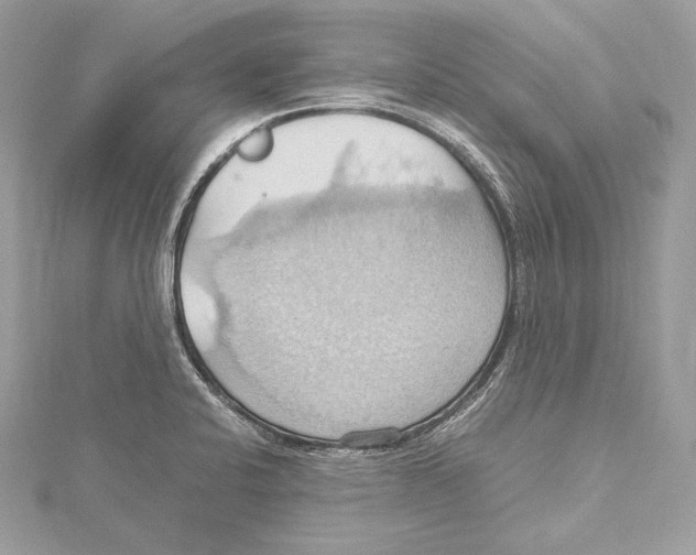 X0000115561424200912041043