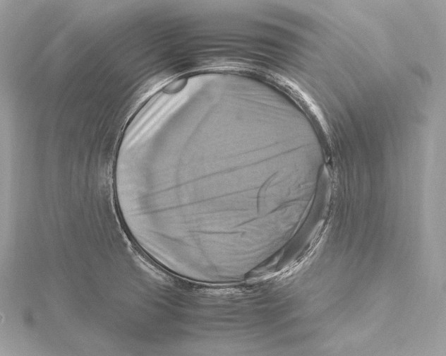 X0000115561425200912041043