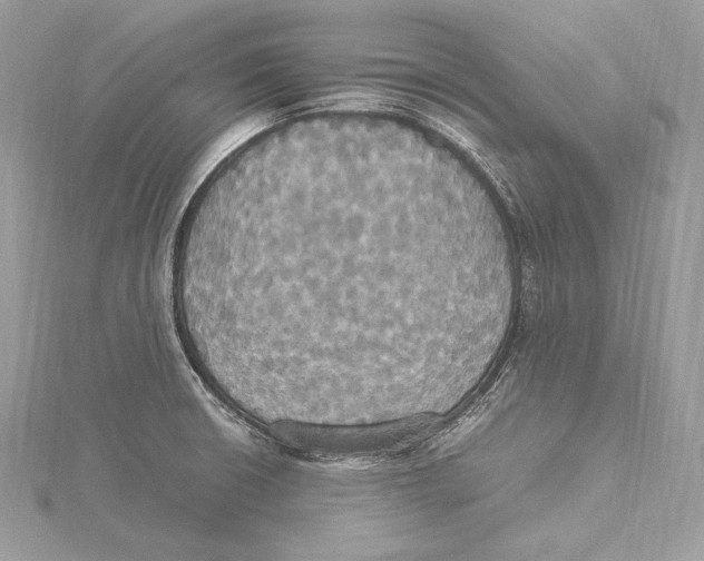 X0000115561426200912041043