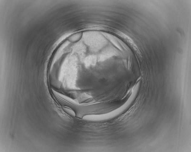 X0000115561427200912041043