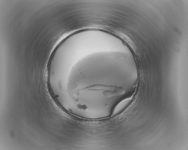 X0000115561428200912041043